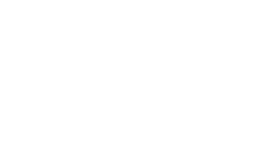 Logo Niesen NSL